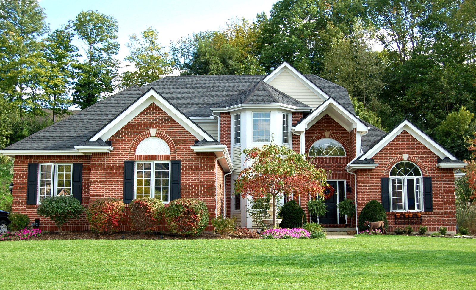 Making moves fast, simple, and stress-free for families and businesses in West Bellevue, WA